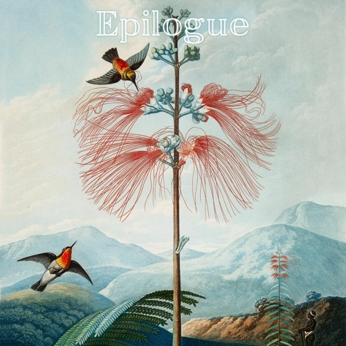 Epilogue (naviarhaiku522)