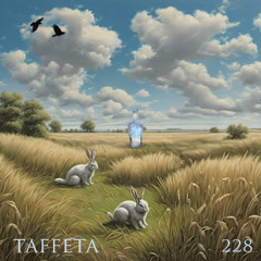 TAFFETA | 228