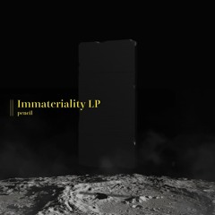 Immateriality LP [2022/12/25 Released]