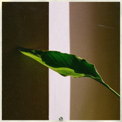 Houseplants EP