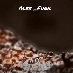 Ales Funk