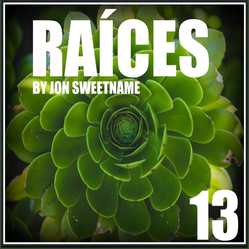 RAÍCES 13 by Jon Sweetname