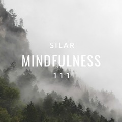 Mindfulness Episode 111