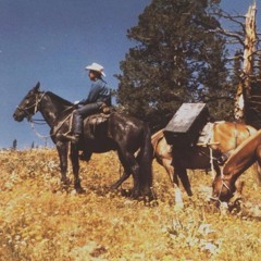 How to play guitar (demo)