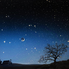 Evening
