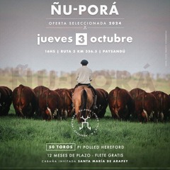 Ing. Agr. Carlos Parietti 021024