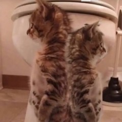 UFO ARMY x NEO! (prod.by OnelifeH)