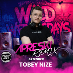 Tream x Gzuz - APRES SKI (TOBEY NIZE REMIX)