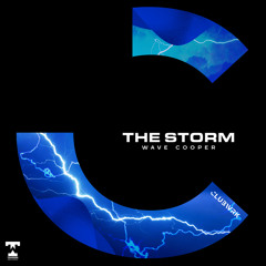 Wave Cooper - The Storm (Radio Edit)