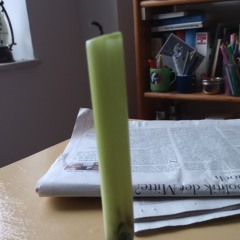 Gegen Verführung-Gedicht von B.Brecht