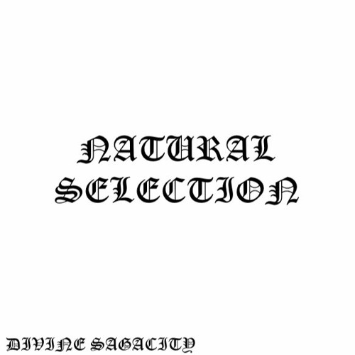 INTRO
