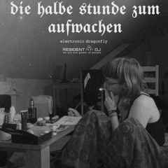 die halbe stunde zum aufwachen (techno)