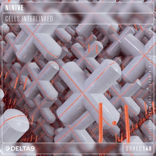 Ninive - Rebel