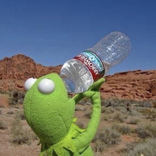 Dune 3 - Kermit hat durst