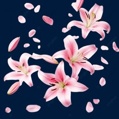 kid curly - lily petals