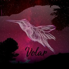 Agatha Ramsul - Volar