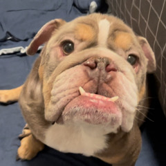 #We back w/treway prod.ninetiiseven