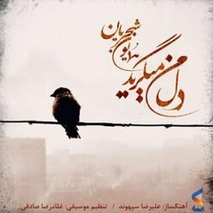 دل من می گرید (همایون شجریان) | Dele Man Migeryad (Homayoun Shajarian)