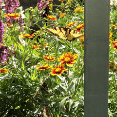 They Love to Talk (prod.BlicoBlame)