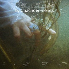 Chacho &Friends - Electricity