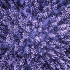 Purple Winter (Ambient Version)⎨FREE DOWNLOAD⎬