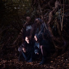 No Harm + GRISTLE @ Twisted Frequency 2024/25 Split Set