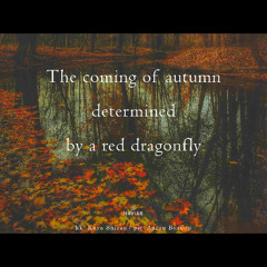 Dragonfly determination [naviarhaiku 614]