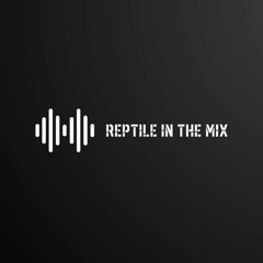 Reptile - In The Mix Vol  2-7