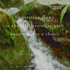 halF choicE [naviarhaiku349]