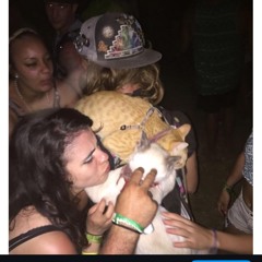 kap in the cat (prod. Hennedy)