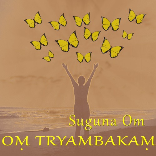 Oṁ Tryambakaṁ