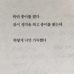 정오월 - 연화 (年華)