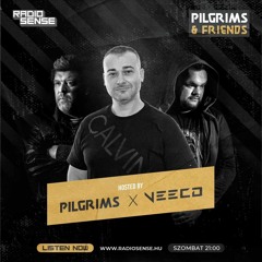 Pilgrims Friends - EP65 Veeco