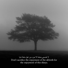 Sheikh Haithm Aldokhin- Surah Al-Anbiya