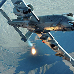 Warthog