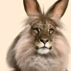 стаяк раналдо