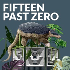 Closing Fifteen Past Zero @ Sektor Evolution