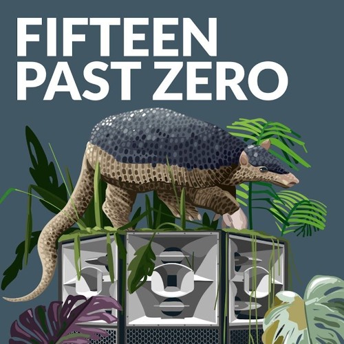 Closing Fifteen Past Zero @ Sektor Evolution