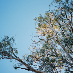 Eduardo - Illara Sessions