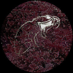 PREMIERE: Ryft - Resonator Rhythms [GIFKIKKER]