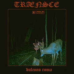 TRÆN$CE - SIGUES SIENDO UN FRACASO (MASK3D/BXNOO/KARNOFOBY)