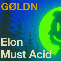 Elon Must Acid