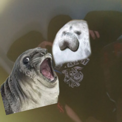 real life freestyle 48 ultimatum