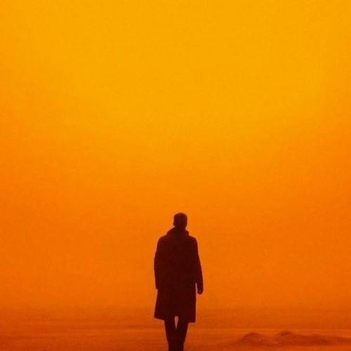 2049