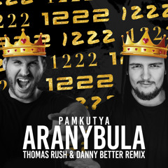 Pamkutya - Aranybula (Thomas Rush & Danny Better Remix)