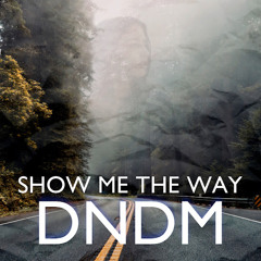 Show Me The Way