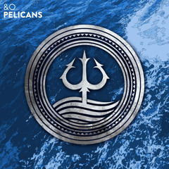 &O - Pelicans