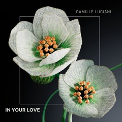 Camille Luciani - In Your Love