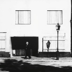Wild Strawberries