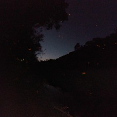 fireflies rmx